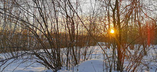 Photo of Laurier Woods Conservation Area - Brule St, North Bay, ON P1A 3Z5